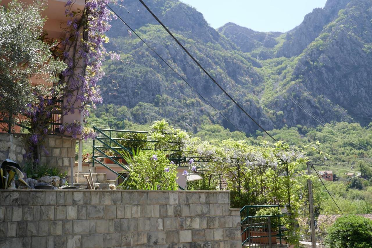 Ecohouse Risan Studio エクステリア 写真