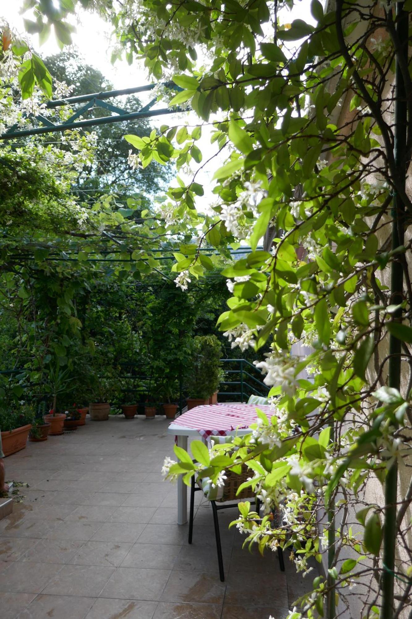 Ecohouse Risan Studio エクステリア 写真
